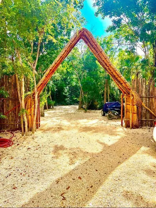 公寓 Lush Tulum Jungle Penthouse With Ensuite Rooftop Pool & Highspeed Wifi Balcheil 墨西哥