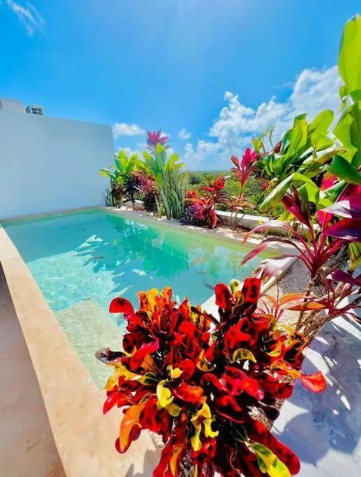 公寓 Lush Tulum Jungle Penthouse With Ensuite Rooftop Pool & Highspeed Wifi Balcheil 墨西哥