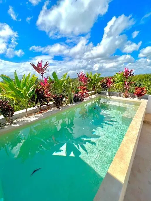 Apartment Lush Tulum Jungle Penthouse With Ensuite Rooftop Pool & Highspeed Wifi Balcheil